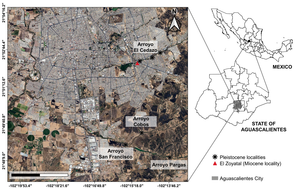 **Figure 2.** Satellite image showing part of the state of Aguascalientes and the location of the main fossiliferous localities (taken from Google Earth, accessed on December 2024). Scale bar= 4 km.